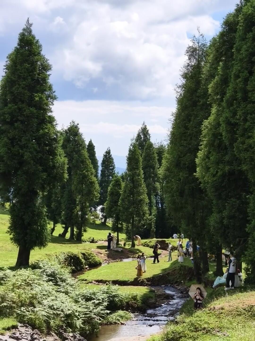 乌蒙大草原